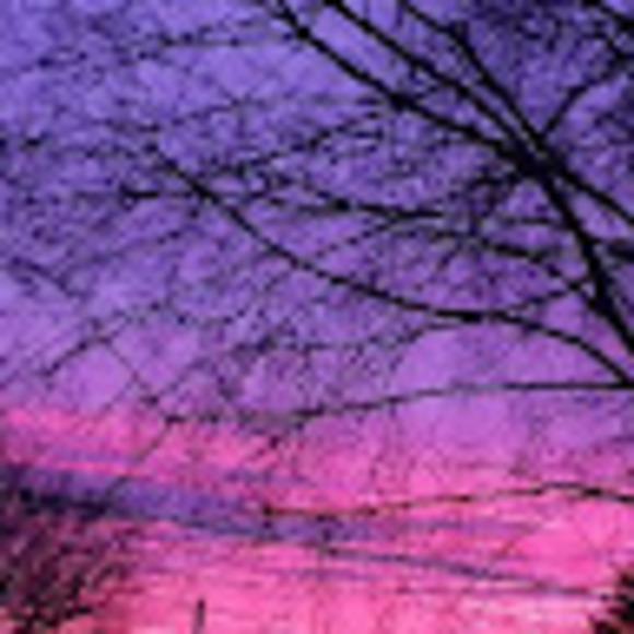 Meet your Posher, Arianna - Picture 1 of 1